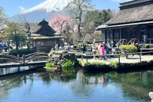 From Tokyo/Yokohama: Mount Fuji and Hakone Full Day Trip