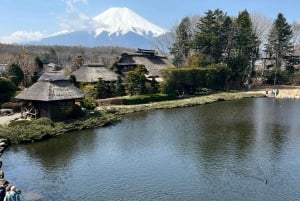 From Tokyo/Yokohama: Mount Fuji and Hakone Full Day Trip