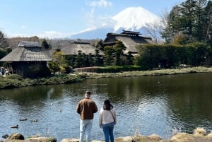 From Tokyo/Yokohama: Mount Fuji and Hakone Full Day Trip