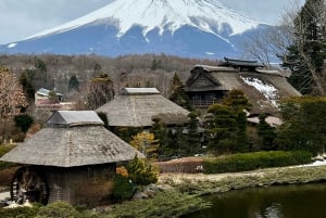 From Tokyo/Yokohama: Mount Fuji and Hakone Full Day Trip