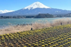 From Tokyo/Yokohama: Mount Fuji and Hakone Full Day Trip