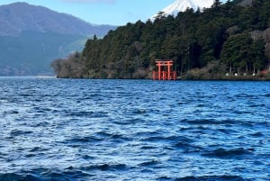 From Tokyo/Yokohama: Mount Fuji and Hakone Full Day Trip