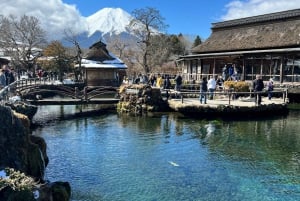 From Tokyo/Yokohama: Mount Fuji and Hakone Full Day Trip