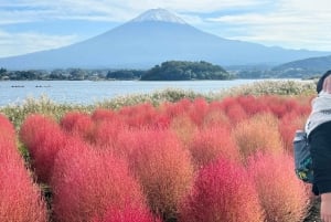 From Tokyo/Yokohama: Mount Fuji and Hakone Full Day Trip