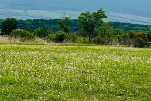 Из Токио/Иокогамы: Частная однодневная поездка на гору Фудзи/Хаконе