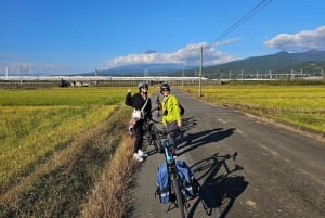 Fuji city: Mount Fuji Scenic E-Bike Tour