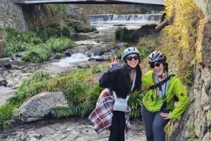 Fuji city: Mount Fuji Scenic E-Bike Tour