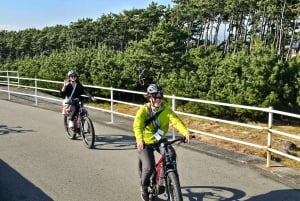 Fuji city: Mount Fuji Scenic E-Bike Tour