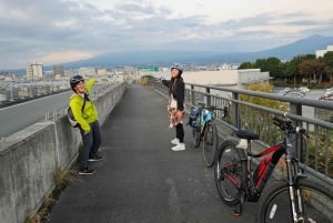 Fuji city: Mount Fuji Scenic E-Bike Tour