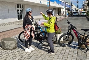 Fuji city: Mount Fuji Scenic E-Bike Tour