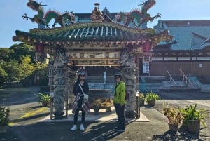 Fuji city: Mount Fuji Scenic E-Bike Tour