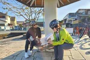 Fuji city: Mount Fuji Scenic E-Bike Tour