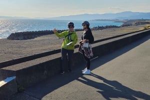 Fuji city: Mount Fuji Scenic E-Bike Tour