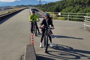 Fuji city: Mount Fuji Scenic E-Bike Tour