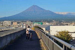 Fuji city: Mount Fuji Scenic E-Bike Tour