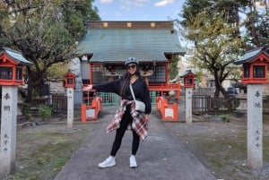 Miasto Fuji: Mount Fuji Scenic E-Bike Tour
