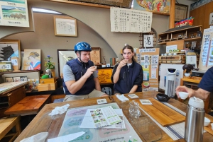 Fuji stad: Mount Fuji Scenic E-Bike Tour