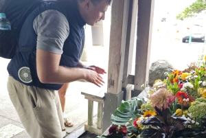 Fuji stad: Mount Fuji Scenic E-Bike Tour