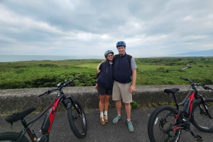 Fuji stad: Mount Fuji Scenic E-Bike Tour