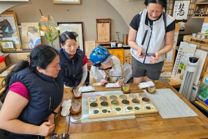 Fuji stad: Mount Fuji Scenic E-Bike Tour