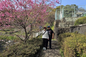 Fuji stad: Mount Fuji Scenic E-Bike Tour