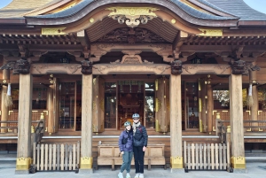 Fuji stad: Mount Fuji Scenic E-Bike Tour