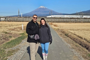 Fuji stad: Mount Fuji Scenic E-Bike Tour