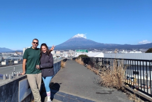 Fuji stad: Mount Fuji Scenic E-Bike Tour