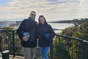 Fuji stad: Mount Fuji Scenic E-Bike Tour