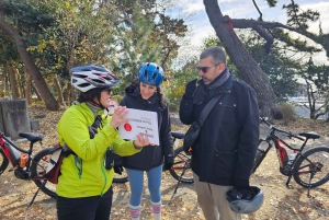 Fuji stad: Mount Fuji Scenic E-Bike Tour