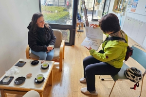 Fuji stad: Mount Fuji Scenic E-Bike Tour