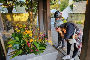 Fuji stad: Mount Fuji Scenic E-Bike Tour