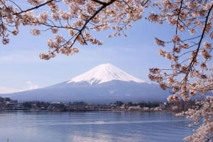 Fuji/Hakone Private Tour, English speaking guide, Photograph
