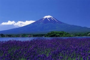 Fuji/Hakone Private Tour, English speaking guide, Photograph