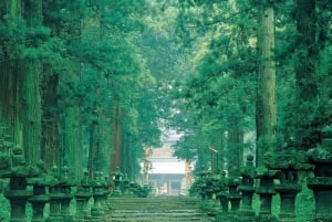 Fuji/Hakone Private Tour, English speaking guide, Photograph