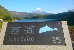 Fuji/Hakone Privat tur, engelsktalande guide, fotografering