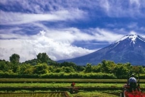 Fuji Speedway Self Drive & Mt. Fuji privat tur