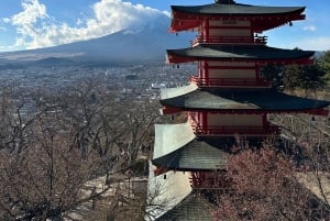 Fuji Speedway Self Drive & Mt. Fuji privat tur