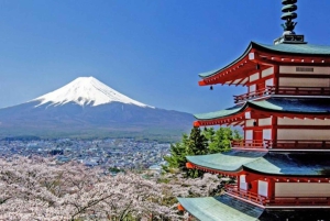 Fuji Speedway Self Drive & Mt. Fuji Tour privato