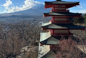 Fuji Speedway Self Drive & Mt. Fuji Tour privato