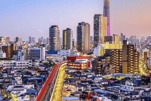 Tour privato di un giorno a Tokyo Tour panoramico completamente personalizzato