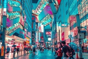 Tour privato di un giorno a Tokyo Tour panoramico completamente personalizzato