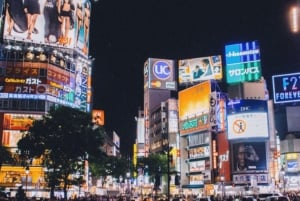 Tour privato di un giorno a Tokyo Tour panoramico completamente personalizzato