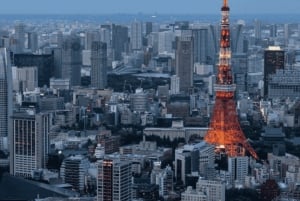Tour privato di un giorno a Tokyo Tour panoramico completamente personalizzato