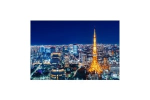 Tour privato di un giorno a Tokyo Tour panoramico completamente personalizzato