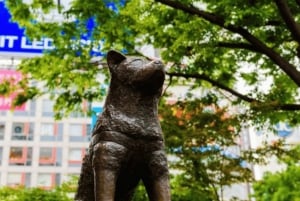 Tour privato di un giorno a Tokyo Tour panoramico completamente personalizzato