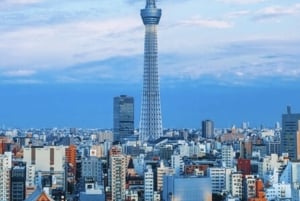Tour privato di un giorno a Tokyo Tour panoramico completamente personalizzato