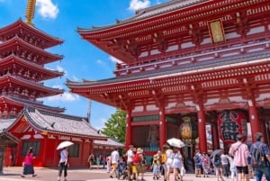 Tour privato di un giorno a Tokyo Tour panoramico completamente personalizzato