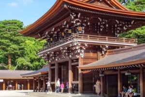 Tour privato di un giorno a Tokyo Tour panoramico completamente personalizzato