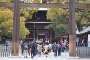 Tour privato di un giorno a Tokyo Tour panoramico completamente personalizzato